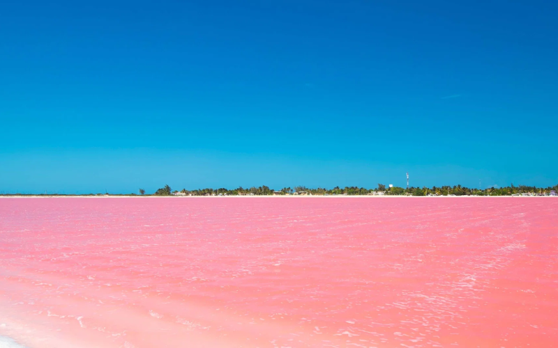 Las Coloradas