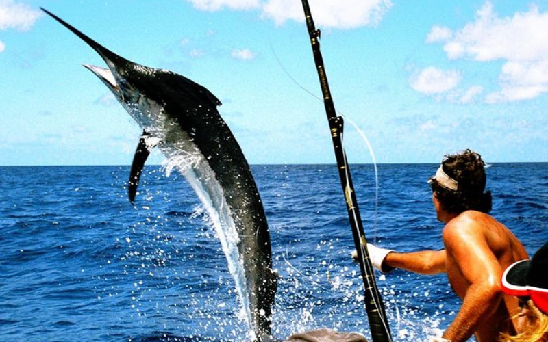 Pesca Deportiva
