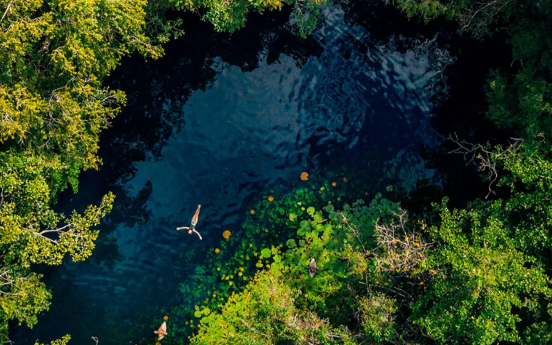 Xenotes